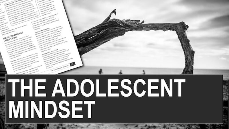 The Adolescent Mindset